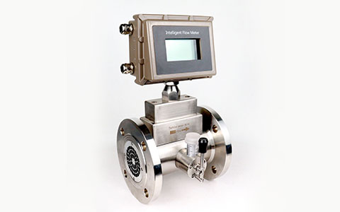 氣體渦輪流量計帶油杯 (2).JPG